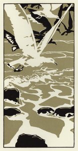 Dalla spiaggia venne un grande gabbiano bianco da George Sheringham