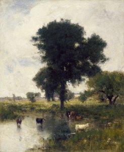 Bovini nella Pozza (Un Paesaggio Estivo)