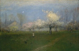 Fiori di primavera, Montclair, New Jersey