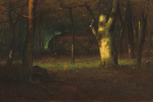 Tramonto nel bosco, 1891 da George Snr. Inness