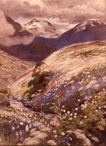 Fiori Alpini da George Soper
