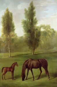 Una cavalla castana e un puledro in un paesaggio boscoso, c.1761-63