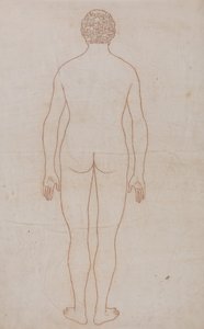 Esposizione anatomica comparata della struttura del corpo umano con quella di una tigre e di un uccello comune: Corpo umano, vista posteriore (Schema per la Tavola VII) da George Stubbs