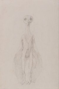 Esposizione anatomica comparata della struttura del corpo umano con quella di una tigre e di un uccello comune: Gufo in piedi, vista anteriore da George Stubbs