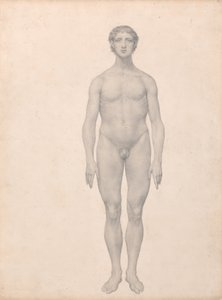 Esposizione anatomica comparata della struttura del corpo umano con quella di una tigre e di un uccello comune:  Figura umana, vista anteriore, non sezionata (Studio finito per la Tavola VI) da George Stubbs