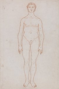 Esposizione anatomica comparata della struttura del corpo umano con quella di una tigre e di un uccello comune: Studio della figura umana, vista anteriore (Schema per la Tavola VI) da George Stubbs