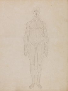 Esposizione anatomica comparata della struttura del corpo umano con quella di una tigre e di un uccello comune: Studio della figura umana, vista anteriore (probabilmente correlato alla Tavola XI) da George Stubbs