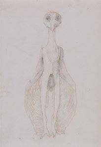 Esposizione anatomica comparata della struttura del corpo umano con quella di una tigre e di un uccello comune:  Gufo in piedi, vista anteriore da George Stubbs