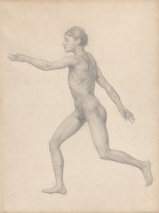 Esposizione anatomica comparata della struttura del corpo umano con quella di una tigre e di un uccello comune: Figura umana, vista laterale, non sezionata (Studio finito per la Tavola VIII) da George Stubbs