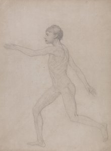 Esposizione anatomica comparata della struttura del corpo umano con quella di una tigre e di un uccello comune: Figura umana, vista laterale (bozza preliminare per lo studio finale della Tavola VIII) da George Stubbs