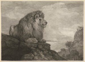 Un leone [Un leone che riposa su una roccia] da George Stubbs