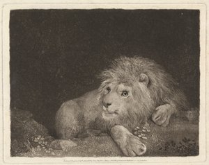 Un leone (un leone sdraiato) da George Stubbs