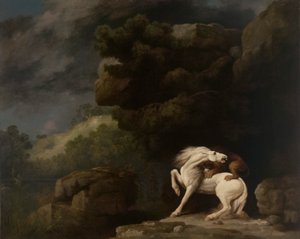 Un leone che attacca un cavallo