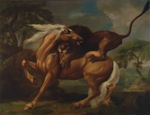 Un leone che attacca un cavallo