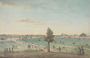 Kennington Common da George Stubbs