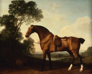 Un cacciatore di baie in sella da George Stubbs