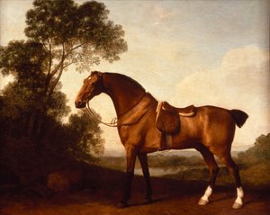 Un cacciatore di baie in sella da George Stubbs