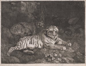 Una tigre e un leopardo addormentato da George Stubbs