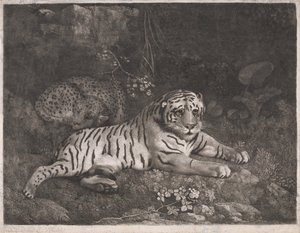 Una tigre e un leopardo addormentato da George Stubbs