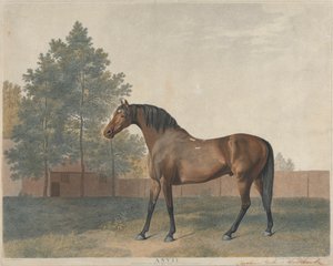 "Incudine" da George Stubbs