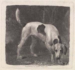 Cane (Un Foxhound alla Ricerca) inciso dall