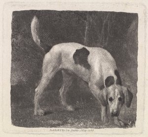 Cane [Un Foxhound alla ricerca] da George Stubbs