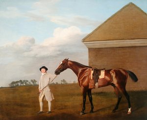 Coda di fuoco con il suo addestratore presso la Rubbing-Down House nella brughiera di Newmarket da George Stubbs