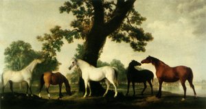 Cinque Fattrici alla Scuderia del Duca di Cumberland nel Parco di Windsor