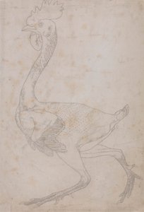 Corpo di Uccello, Vista Laterale (Probabilmente Preparato per il Trasferimento sulla Lastra per Incidere la Figura Chiave per la Tabella X) da George Stubbs