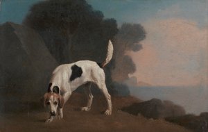 Segugio da George Stubbs