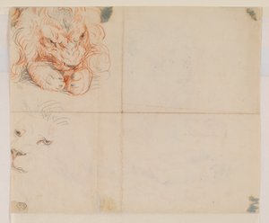 Testa e zampe di un leone, verso, XVIII o XIX secolo da George Stubbs
