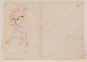 Testa di leone, verso, XVIII o XIX secolo da George Stubbs