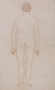 Corpo umano, vista posteriore (Disegno di contorno per la Tavola VII) da George Stubbs