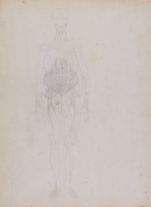 Figura umana, vista anteriore (principalmente in contorno) da George Stubbs