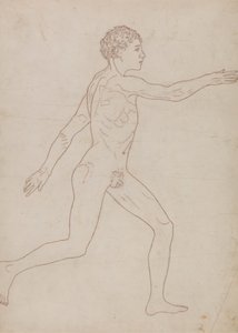 Figura umana, vista laterale (Studio di contorno inverso della Tavola VIII)