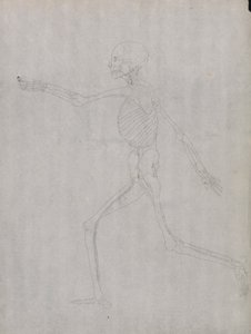 Figura Umana, Vista Laterale da George Stubbs