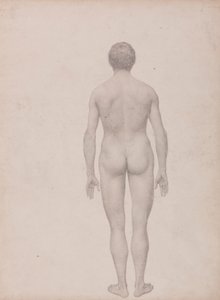 Figura Umana, Vista Posteriore, Non Dissezionata (Studio Finito per Tavola VII) da George Stubbs