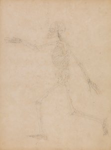 Scheletro umano, vista laterale da George Stubbs