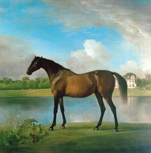 La fattrice di Lord Bolingbroke nei terreni di Lydiard Park, Wiltshire, c.1764-66 da George Stubbs