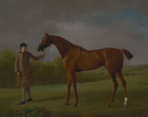 Lustro, tenuto da uno Sposo da George Stubbs