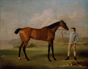 Molly Gambe Lunghe con il suo fantino da George Stubbs