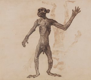 Scimmia in Piedi, Vista Anteriore da George Stubbs