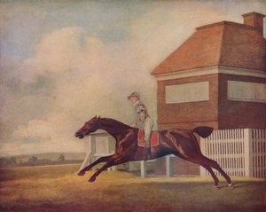 Il cavallo da corsa baio Trentham di Mr. Ogilvy a Newmarket con fantino da George Stubbs