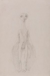 Gufo in Piedi, Vista Anteriore da George Stubbs