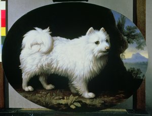 Ritratto del cane bianco della signora French, 1782 da George Stubbs