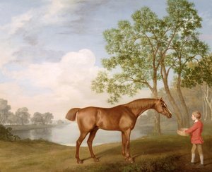 Zucca con un ragazzo di stalla da George Stubbs