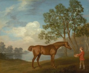 Zucca con un capo scuderia da George Stubbs