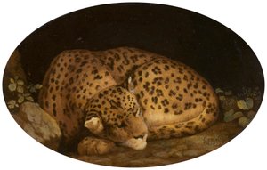 Leopardo che dorme da George Stubbs