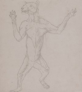 Studio di una tigre, in postura umana, da A Comparative Anatomical Exposition of the Structure of the Human Body with that of a Tiger and a Common Fowl da George Stubbs