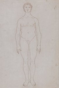 Studio della figura umana, vista anteriore (disegno di contorno per la tavola VI) da George Stubbs